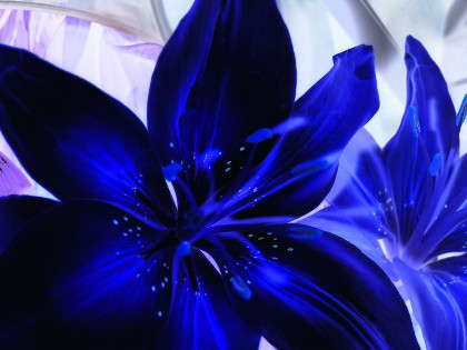 Работа с чакрами через цвет.  Медитация «Синий Цветок».
